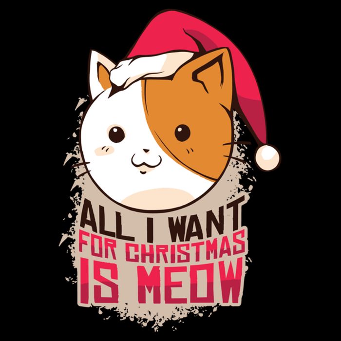 All I Want For Christmas Is Meow Funny Cat Gift Flat Bill Trucker Hat