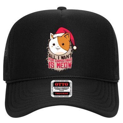 All I Want For Christmas Is Meow Funny Cat Gift Trucker Hat