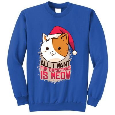 All I Want For Christmas Is Meow Funny Cat Gift Sweatshirt