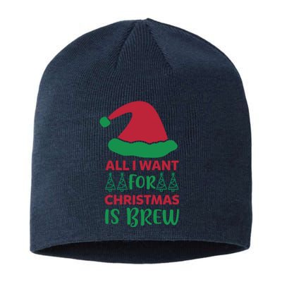 All I Want For Christmas Is Brew Sustainable Beanie