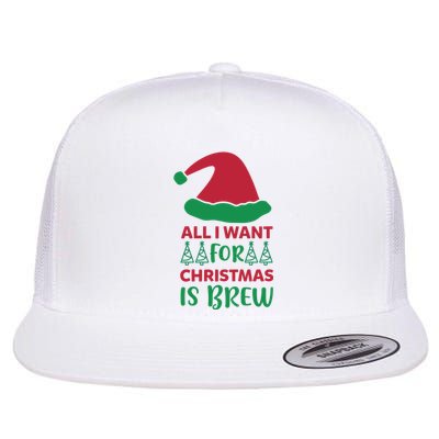 All I Want For Christmas Is Brew Flat Bill Trucker Hat