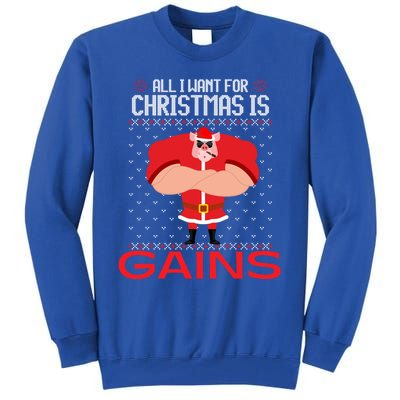 All I Want For Christmas Is Gains Fun Pig Ugly Xmas Sweater Cool Gift Tall Sweatshirt