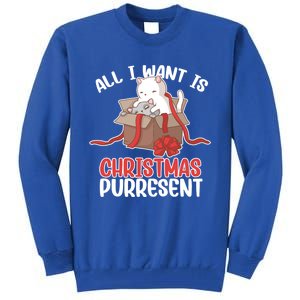 All I Want Is Christmas Purresent Kitten Cat Christmas Gift Tall Sweatshirt