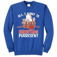 All I Want Is Christmas Purresent Kitten Cat Christmas Gift Tall Sweatshirt