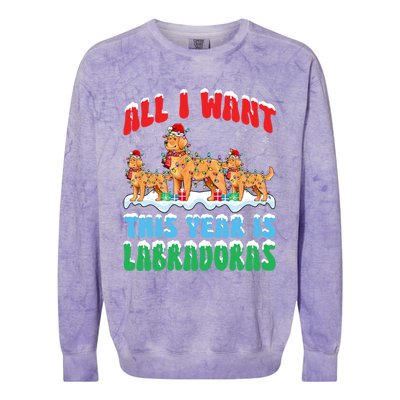 All I Want This Year Is Labrador Dog Wearing Christmas Hat Gift Colorblast Crewneck Sweatshirt