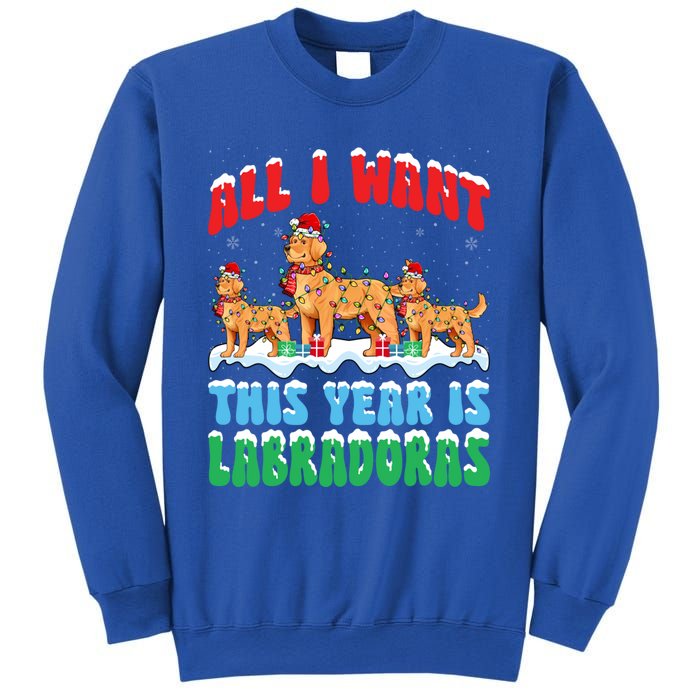 All I Want This Year Is Labrador Dog Wearing Christmas Hat Gift Sweatshirt