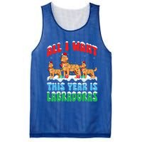 All I Want This Year Is Labrador Dog Wearing Christmas Hat Gift Mesh Reversible Basketball Jersey Tank