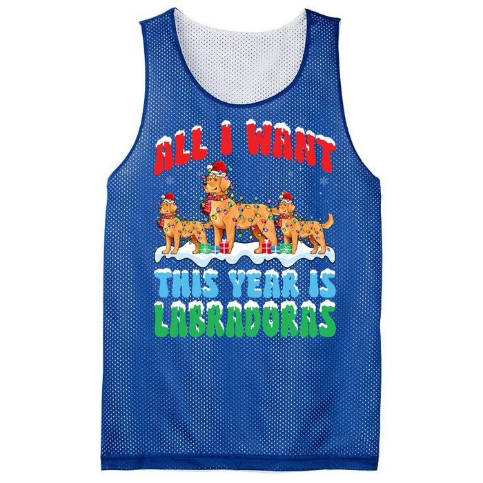 All I Want This Year Is Labrador Dog Wearing Christmas Hat Gift Mesh Reversible Basketball Jersey Tank