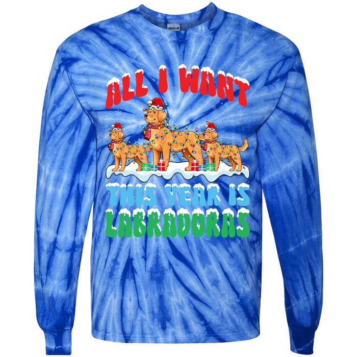 All I Want This Year Is Labrador Dog Wearing Christmas Hat Gift Tie-Dye Long Sleeve Shirt