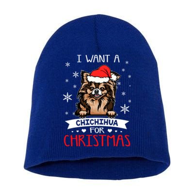 All I Want For Christmas Is A Chihuahua Santa Reindeer Cool Gift Short Acrylic Beanie