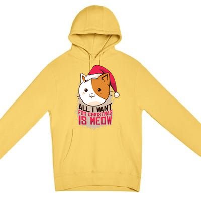 All I Want For Christmas Is Meow Funny Cat Gift Premium Pullover Hoodie