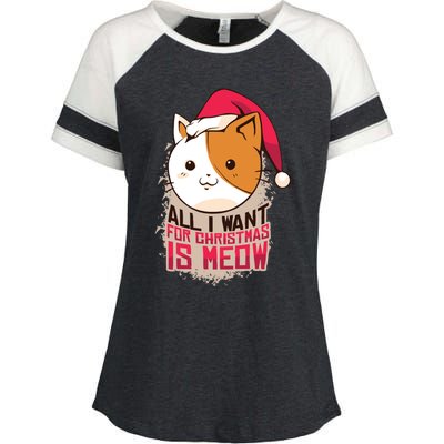 All I Want For Christmas Is Meow Funny Cat Gift Enza Ladies Jersey Colorblock Tee