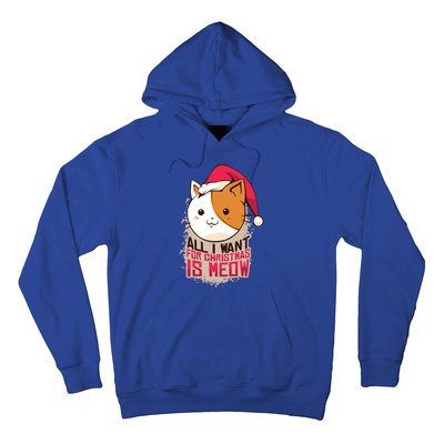 All I Want For Christmas Is Meow Funny Cat Gift Hoodie