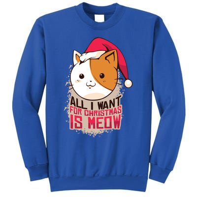 All I Want For Christmas Is Meow Funny Cat Gift Sweatshirt