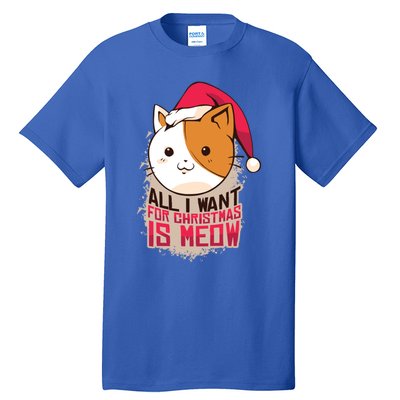 All I Want For Christmas Is Meow Funny Cat Gift Tall T-Shirt