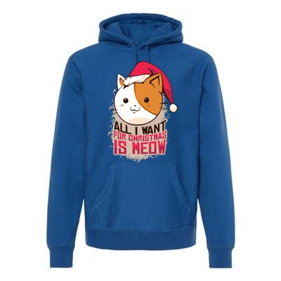 All I Want For Christmas Is Meow Funny Cat Gift Premium Hoodie