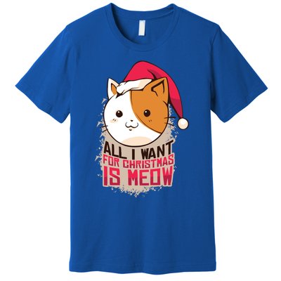 All I Want For Christmas Is Meow Funny Cat Gift Premium T-Shirt