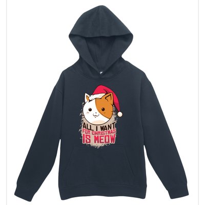 All I Want For Christmas Is Meow Funny Cat Gift Urban Pullover Hoodie