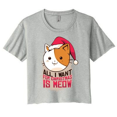 All I Want For Christmas Is Meow Funny Cat Gift Women's Crop Top Tee