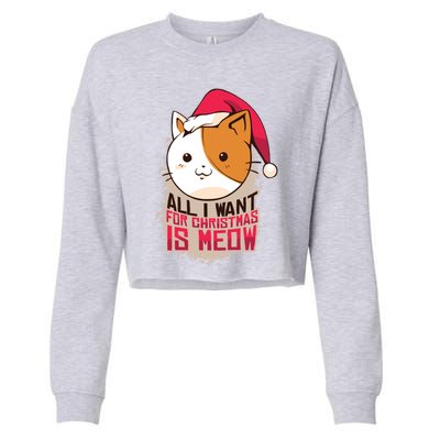 All I Want For Christmas Is Meow Funny Cat Gift Cropped Pullover Crew