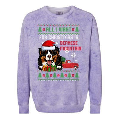 All I Want For Christmas Is Bernese Mountain Christmas Cat Gift Colorblast Crewneck Sweatshirt