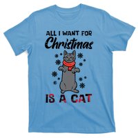 All I Want For Christmas Is Cat Xmas Meaningful Gift T-Shirt