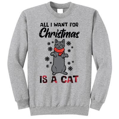 All I Want For Christmas Is Cat Xmas Meaningful Gift Sweatshirt