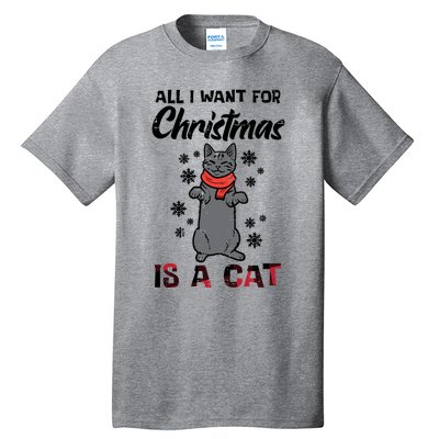 All I Want For Christmas Is Cat Xmas Meaningful Gift Tall T-Shirt