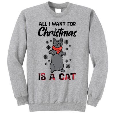 All I Want For Christmas Is Cat Xmas Meaningful Gift Tall Sweatshirt