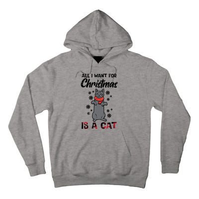 All I Want For Christmas Is Cat Xmas Meaningful Gift Tall Hoodie