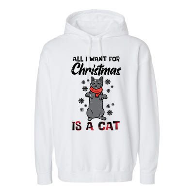 All I Want For Christmas Is Cat Xmas Meaningful Gift Garment-Dyed Fleece Hoodie