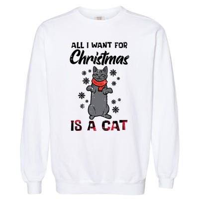 All I Want For Christmas Is Cat Xmas Meaningful Gift Garment-Dyed Sweatshirt