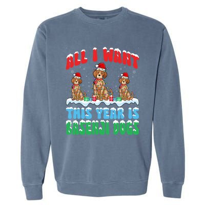 All I Want This Year Is Basenji Dog Wearing Christmas Hat Gift Garment-Dyed Sweatshirt