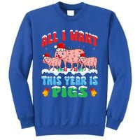 All I Want This Year Is Pig Wearing Christmas Hat Funny Gift Sweatshirt