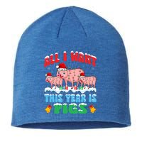 All I Want This Year Is Pig Wearing Christmas Hat Funny Gift Sustainable Beanie