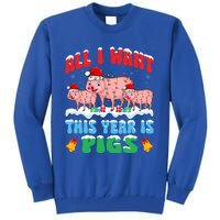 All I Want This Year Is Pig Wearing Christmas Hat Funny Gift Tall Sweatshirt