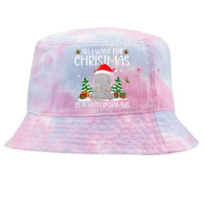 All I Want For Christmas Is A Hippopotamus Funny Xmas Hippo Gift Tie-Dyed Bucket Hat