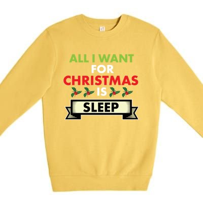 All I Want For Christmas Is Sleep Meaningful Gift Premium Crewneck Sweatshirt