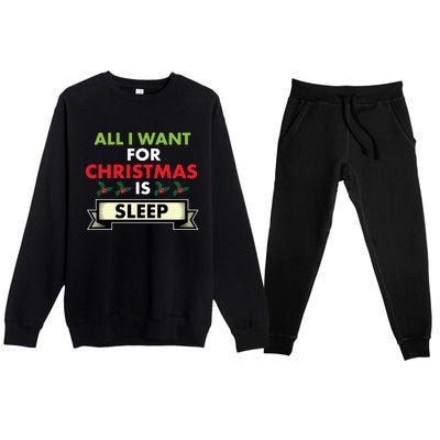 All I Want For Christmas Is Sleep Meaningful Gift Premium Crewneck Sweatsuit Set