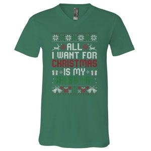 All I Want For Christmas Is My Gross Pay Funny Joke V-Neck T-Shirt