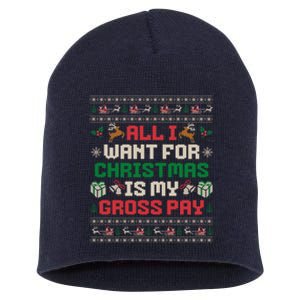 All I Want For Christmas Is My Gross Pay Funny Joke Short Acrylic Beanie