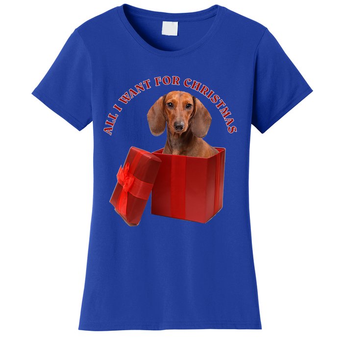 All I Want For Christmas Dachshund Gift Women's T-Shirt