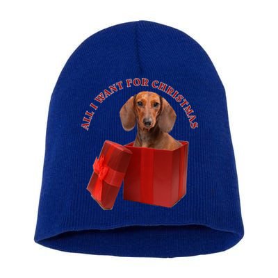 All I Want For Christmas Dachshund Gift Short Acrylic Beanie