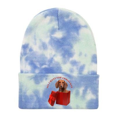 All I Want For Christmas Dachshund Gift Tie Dye 12in Knit Beanie