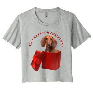 All I Want For Christmas Dachshund Gift Women's Crop Top Tee