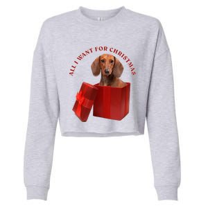 All I Want For Christmas Dachshund Gift Cropped Pullover Crew