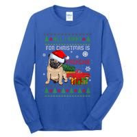 All I Want For Christmas Is Frenchie Ugly Christmas Sweater Gift Tall Long Sleeve T-Shirt