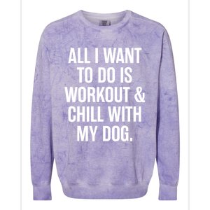 All I Want To Do Is Workout And Chill With My Dog Funny Gym Colorblast Crewneck Sweatshirt