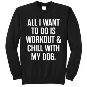 All I Want To Do Is Workout And Chill With My Dog Funny Gym Sweatshirt