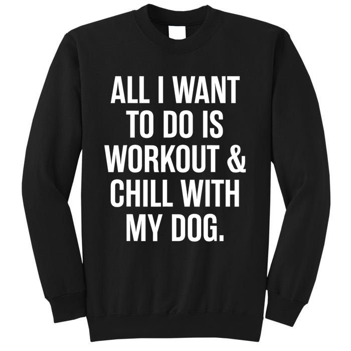 All I Want To Do Is Workout And Chill With My Dog Funny Gym Tall Sweatshirt